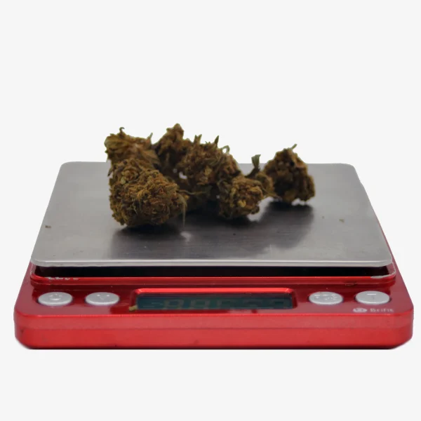 2 Gramm Bubble Gum HHC Blüten