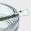 Glas Mundstück für Aktivkohlefilter Slim in Klar-Grün mit Perle
