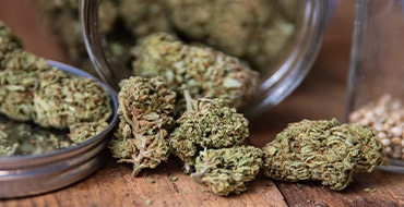 WEEDS