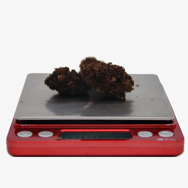 2 Gramm WEEZEL Pot HHC Blüten
