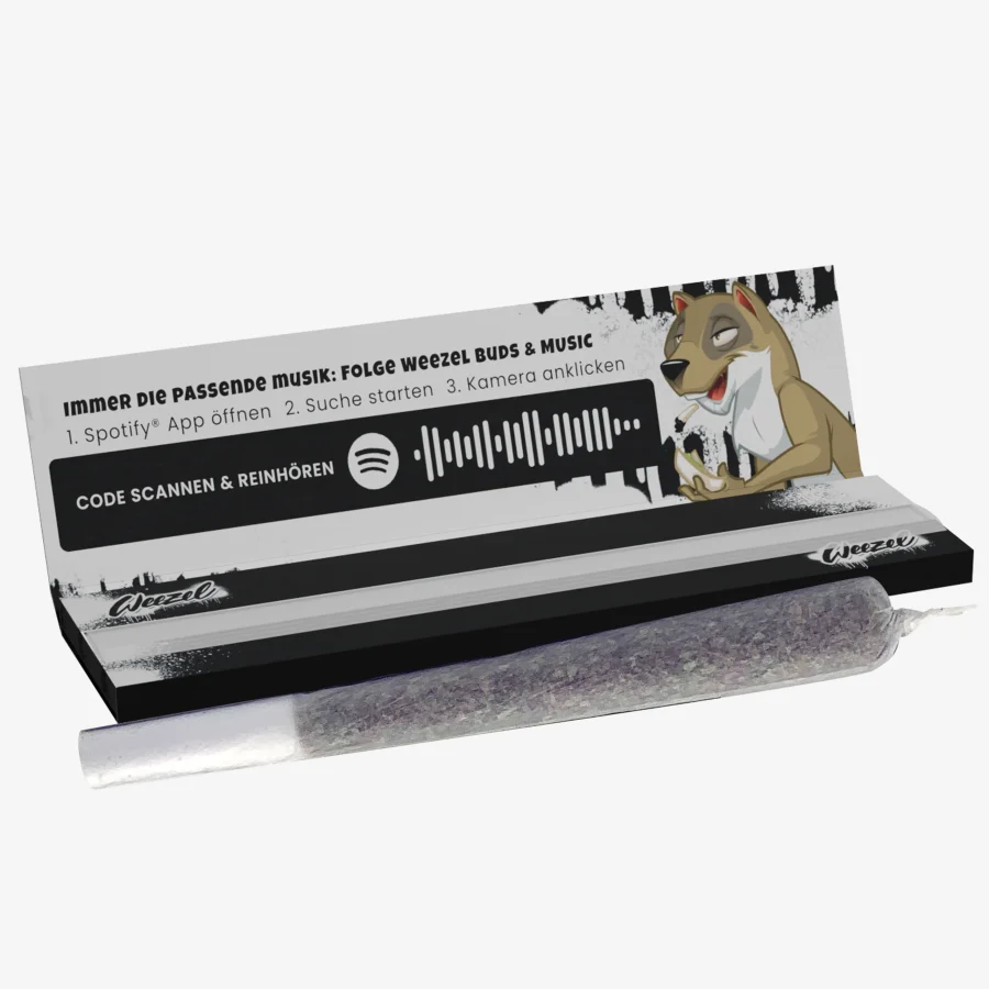 Longpaper MNS